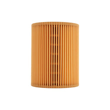 Laad de afbeelding in de galerijviewer, 4 Oil Filters geschikt voor BMW 323Ci/325Ci 2000-2006 51223 Pleated Structure