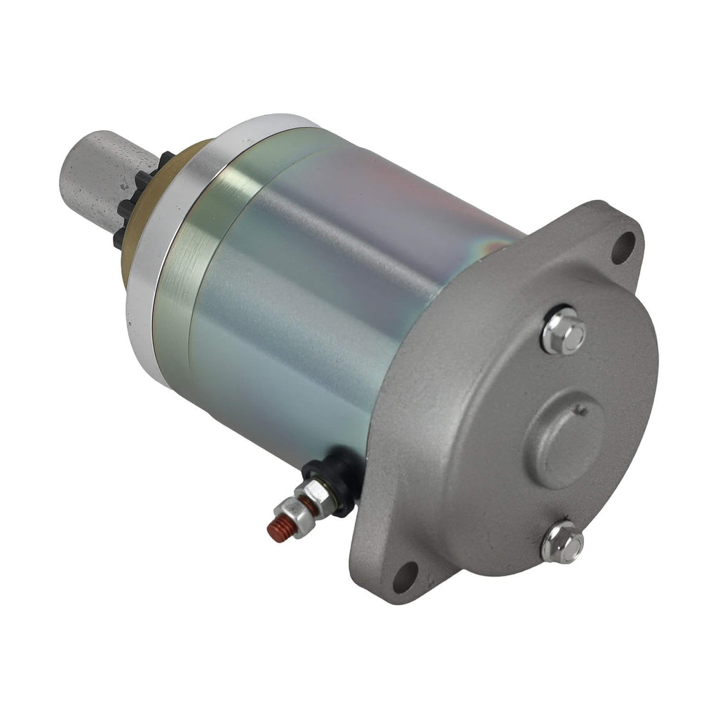 Startmotor voor PIAGGIO APE 50 125 12V 11T 179116 1982-2017