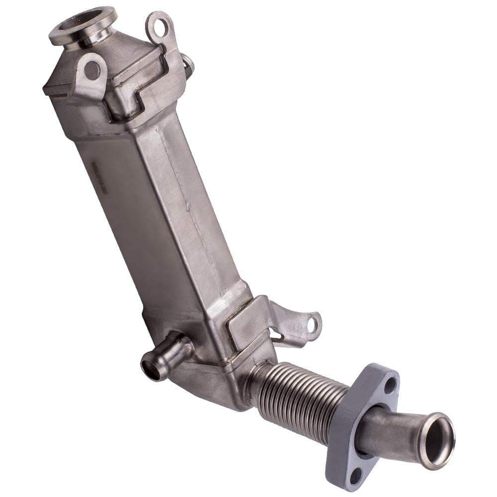 EGR valves geschikt voor BMW 3 Serie E46/E90/E93, 5 Serie E60, 6 Serie E63, X3 E83, X5 E70, X6 E71/E72