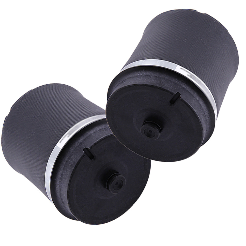 Coppia Aria Posteriore primavera compatible for Land Rover Range L322 RKB500082/RKB000150
